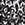 Black/White Alyssum Swatch