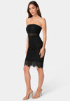 Lace Illusion Strapless Midi Dress