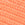 Coral Reef Swatch