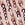 Rose Gold Swatch
