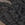 Black/Nude Swatch