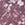 Pressed Leaf Print Swatch