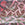 Multi Snake Print Swatch