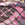 Multi Snake Print Swatch