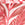 Rose Palm Print Swatch
