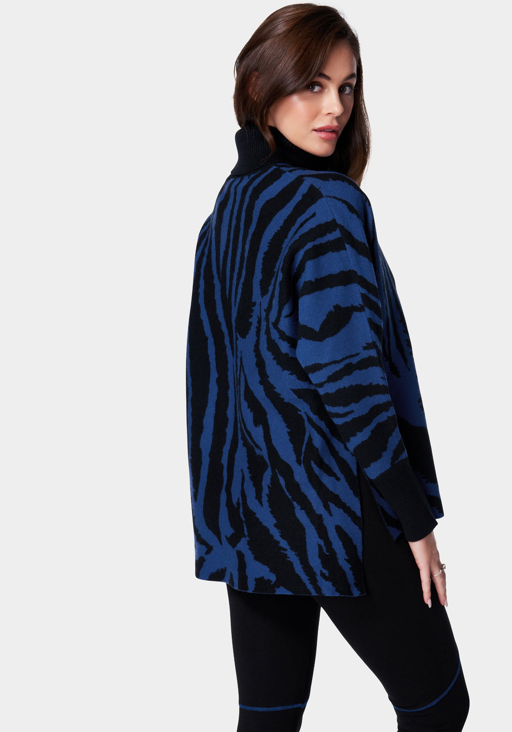 ABSTRACT ZEBRA