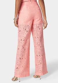 Apricot Blush