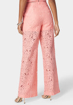 Apricot Blush