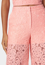 Apricot Blush