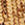 Gold Swatch