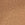Camel Swatch