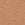 Camel Swatch