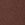 Chocolate Swatch