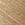 Golden/Nude Swatch