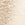 Champagne Swatch