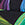 Neon Palm Print Swatch