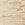 Champagne Swatch