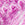 Violet Swatch