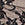 Black Swatch