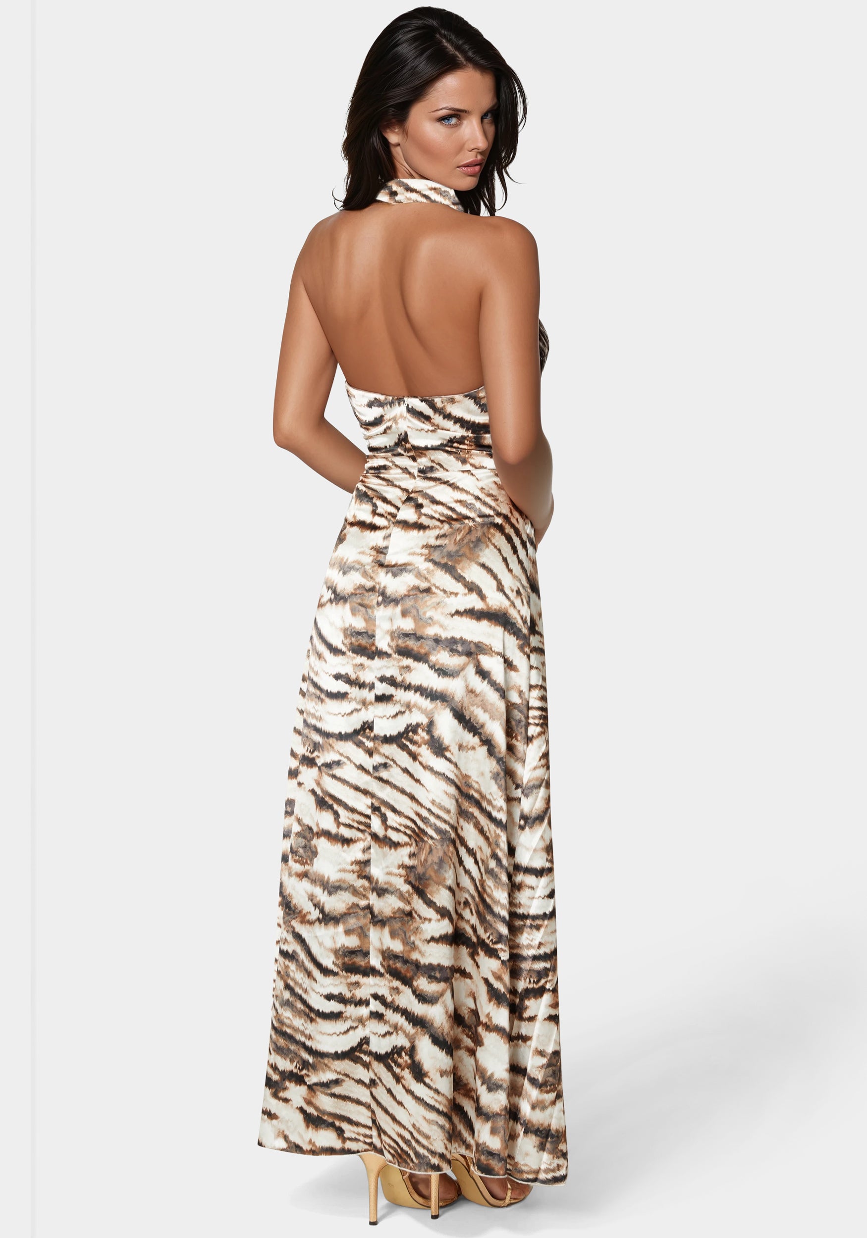 BRUSHED ABSTRACT ZEBRA