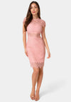 Lace Short Sleeve Illusion Dress