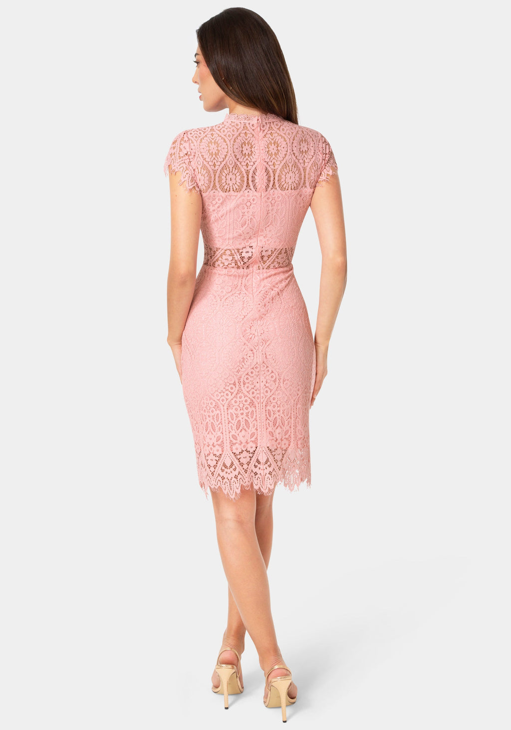 Back View-Lace Short Sleeve Illusion Dress-Rose