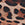 Cheetah Swatch