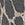 Exotic Cheetah Print Swatch