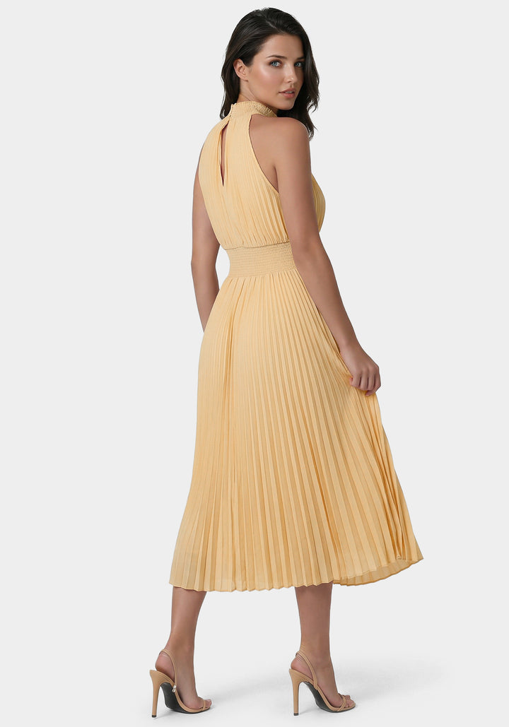 Back View-Sleeveless Pleated Dress-Champagne