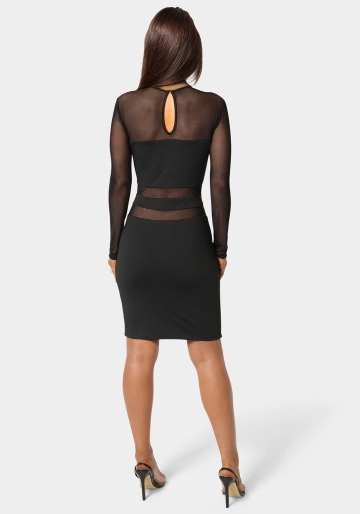 Back View-Illusion Mesh Mini Dress-Black
