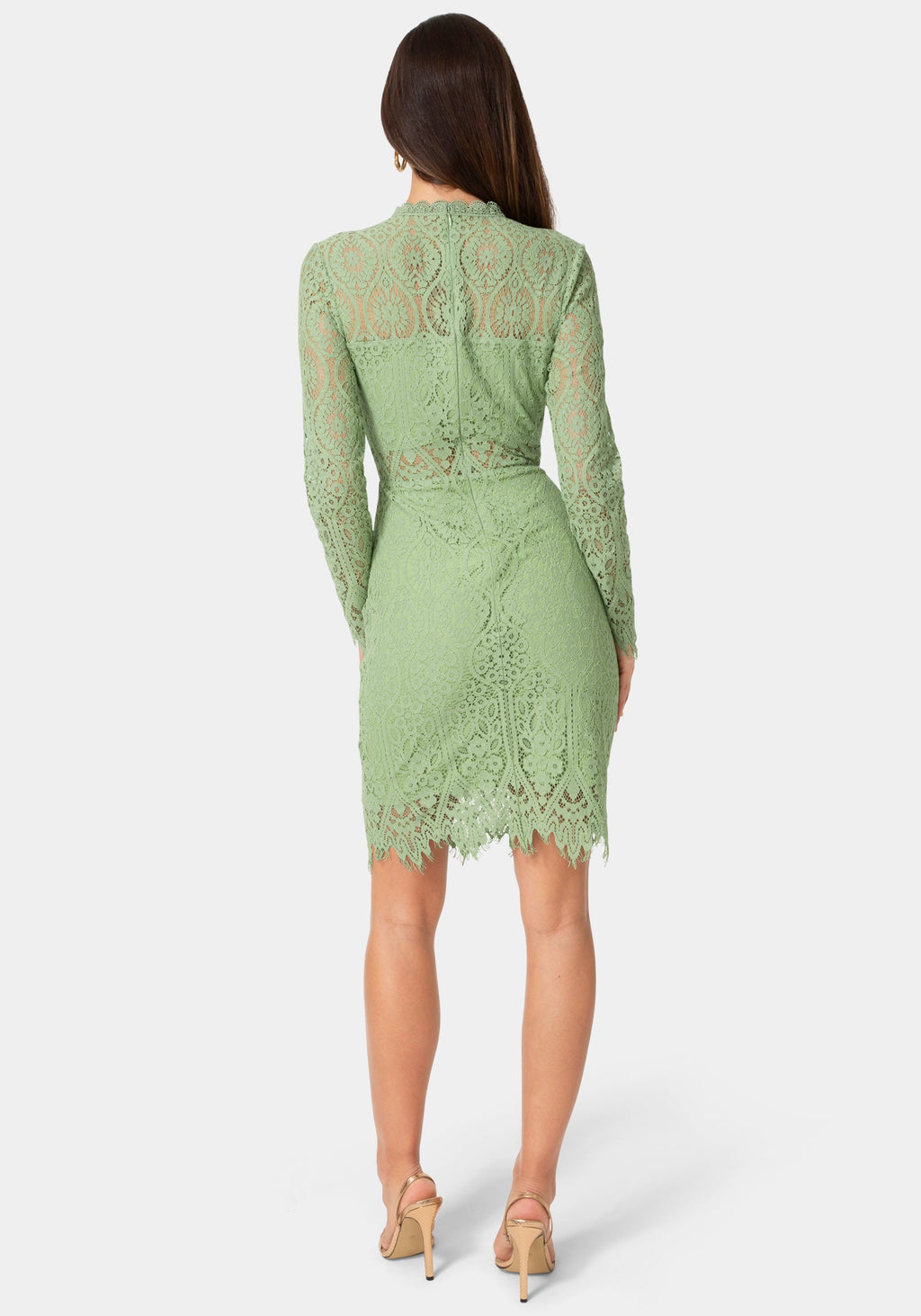 Back View-Bandeau Scallop Lace Pencil Dress-Sage