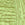 Dark Citron Swatch