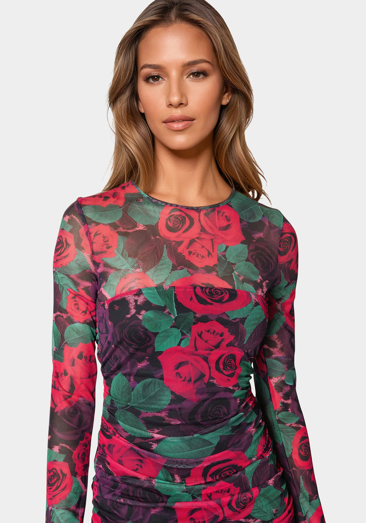 Holiday Rose