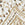 Ivory Swatch