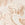 Nude Swatch