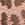 Tangerine Leopard Swatch