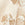 Champagne Swatch