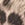 Leopard Swatch