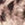 Leopard Swatch