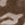 Animal Swatch