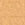 Camel Swatch