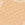 Camel Swatch