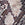 Snake/Black Swatch