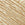 White/Gold Swatch