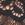 Black Swatch