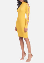 Spicy Mustard