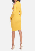 Spicy Mustard
