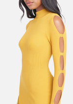 Spicy Mustard