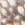 Snake Swatch