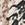 SNAKE Swatch
